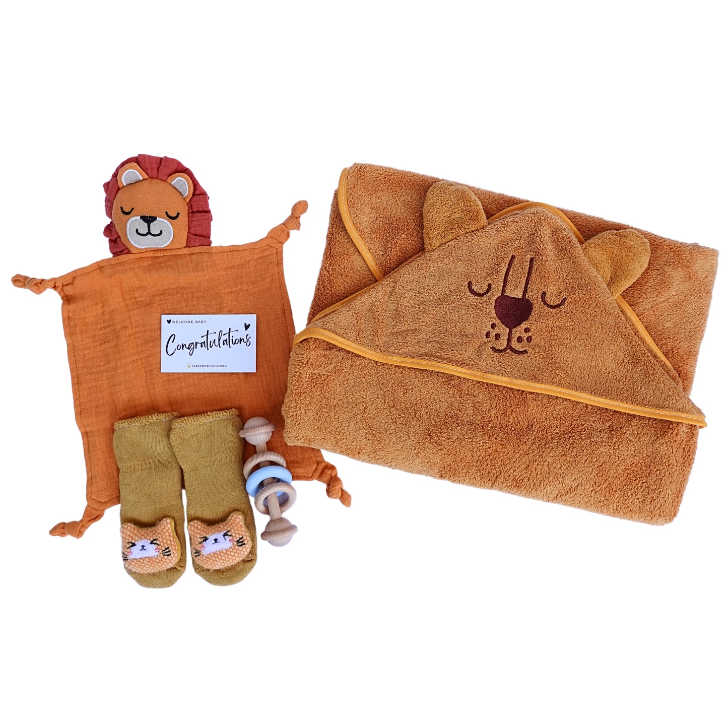 Lion Cub Baby Gift Set - Neutral